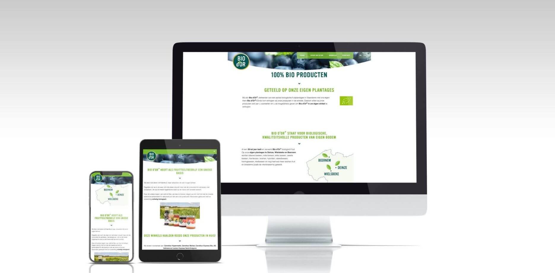 Bio d'Or website